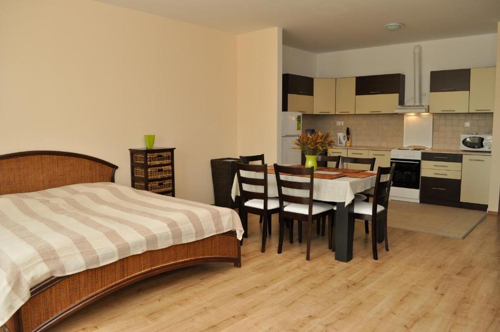 Tisza Palota Apartmanok Сегед Стая снимка