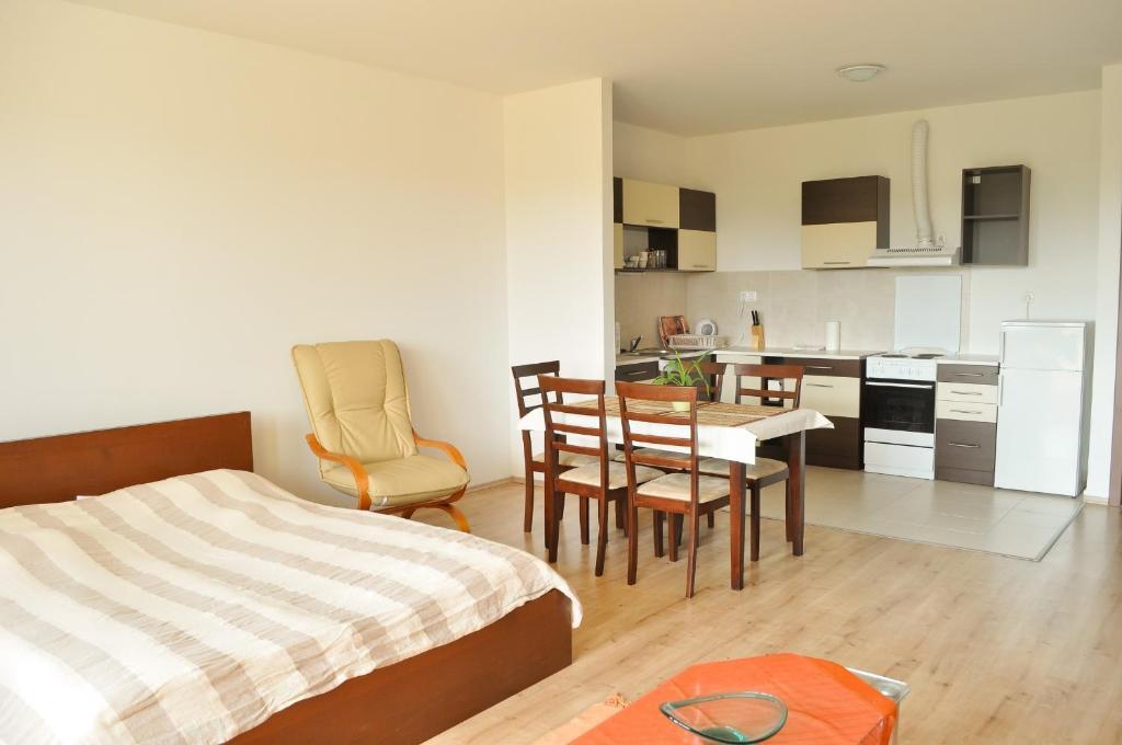 Tisza Palota Apartmanok Сегед Стая снимка